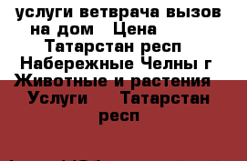 услуги ветврача вызов на дом › Цена ­ 100 - Татарстан респ., Набережные Челны г. Животные и растения » Услуги   . Татарстан респ.